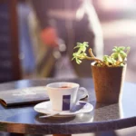 3 përfitime shëndetësore nga kafeja e mëngjesit