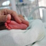 Bie numri i lindjeve në Kosovë, cili është ndikimi më i madh?