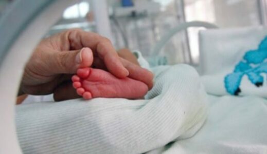 Bie numri i lindjeve në Kosovë, cili është ndikimi më i madh?