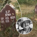Varri i Leze Qenës në gjendje të mjerueshme – pa emër dhe i lënë në harresë