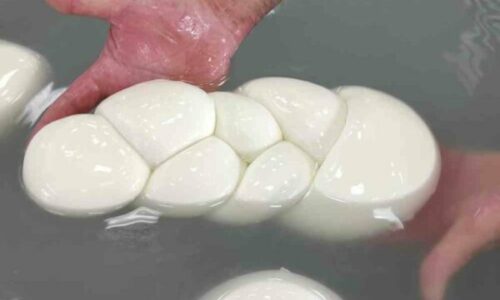 Djathi Mozzarella me origjinë nga Italia dyshohet të jetë i kontaminuar me aflatoksinë, AUV del me njoftim