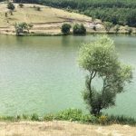 Harrojeni Botox-in, kjo është maska natyrale që zhduk rrudhat