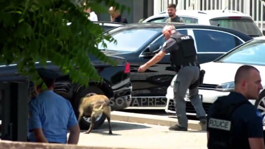 Shqiptarja Hana Orllati kalon edhe fazën e dueleve në “The Voice of Finland”