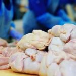 AUV asgjëson mish pule të importuar nga Polonia