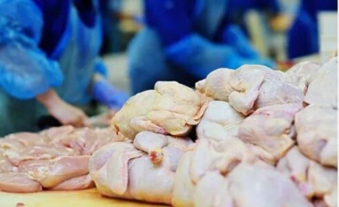 AUV asgjëson mish pule të importuar nga Polonia