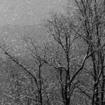 Borë e shi – Parashikimi i motit për sot