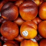 Shkatërrohet rrjeti i kontrabandës së kokainës, e fshihnin mallin në nektarina