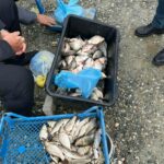 Konfiskohet peshk i paligjshëm në tregun e Gjakovës (FOTO)