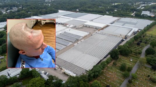 Hetimi i NYT, flet studentja nga Kosova: Na u premtua ëndrra amerikane, përfunduam në punë të rënda