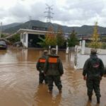 Reshjet e shiut vazhdojnë edhe sot në Shqipëri