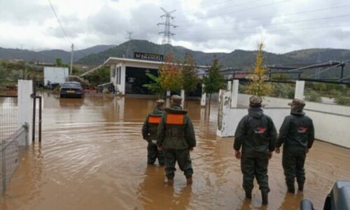 Reshjet e shiut vazhdojnë edhe sot në Shqipëri