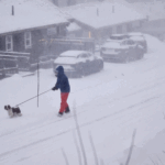 Stuhia dimërore në Suedi: Vdesin dy persona