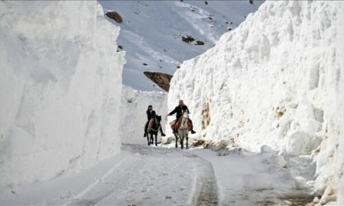 Banorëve të një zone rurale në Turqi iu duhet të kalojnë përmes “korridorit të borës” për të arritur në qendër të qytezës