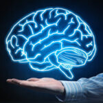 Shkenca flet: Truri nuk piqet plotësisht para moshës 32 vjeç