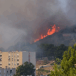 Pamje apokaliptike, zjarri shkrumbon pyjet dhe i afrohet Marsejës, mbyllet aeroporti