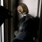 Vodhi paratë nga arka e bamirësisë në një xhami në Ferizaj, arrestohet 29-vjeçari