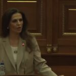 Debat në Kuvend, Dehari ia ndali fjalën Çitakut